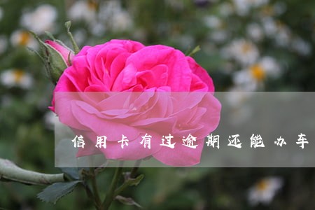 信用卡有过逾期还能办车贷吗 信用卡有过逾期还能办车贷吗