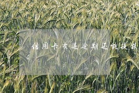 信用卡有过逾期还能提额度吗 信用卡有过逾期还能提额度吗