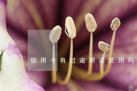 信用卡有过逾期还能用吗 信用卡有过逾期还能用吗