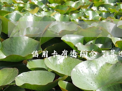 信用卡有违约金了算逾期吗 信用卡有违约金了算逾期吗