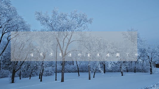 信用卡有违约金是逾期了吗 信用卡有违约金是逾期了吗