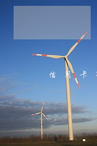 信用卡有连续5个月的逾期 信用卡有连续5个月的逾期