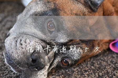 信用卡有逾期15次 信用卡有逾期15次
