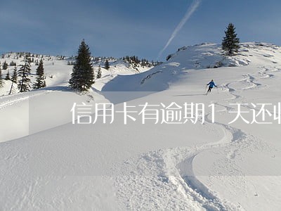 信用卡有逾期1天还收费用