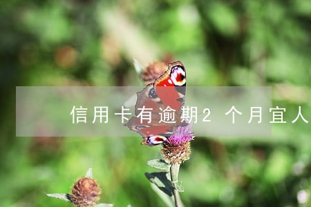 信用卡有逾期2个月宜人贷 信用卡有逾期2个月宜人贷
