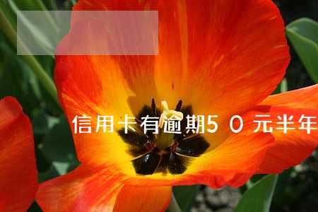 信用卡有逾期50元半年 信用卡有逾期50元半年