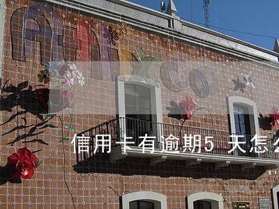 信用卡有逾期5天怎么办 信用卡有逾期5天怎么办