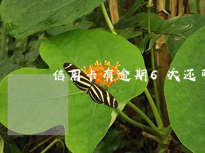 信用卡有逾期6次还可以 信用卡有逾期6次还可以