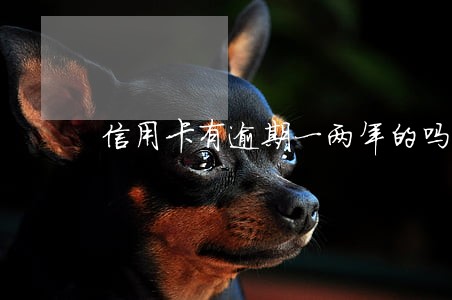 信用卡有逾期一两年的吗 信用卡有逾期一两年的吗
