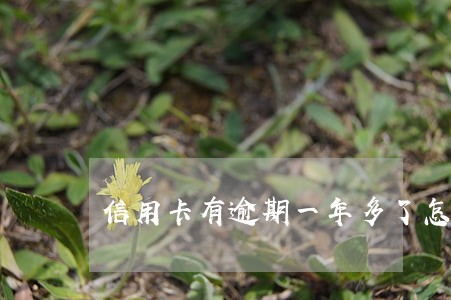 信用卡有逾期一年多了怎么办 信用卡有逾期一年多了怎么办