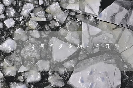 信用卡有逾期一年还可以申请吗