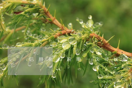 信用卡有逾期一次可以房贷 信用卡有逾期一次可以房贷