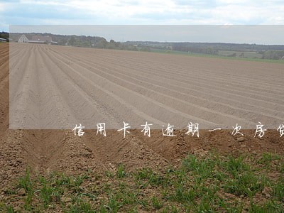 信用卡有逾期一次房贷吗 信用卡有逾期一次房贷吗
