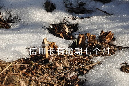 信用卡有逾期七个月 信用卡有逾期七个月