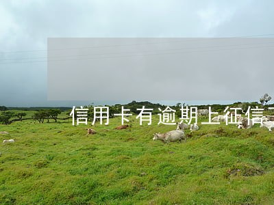 信用卡有逾期上征信了怎么办