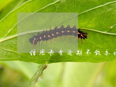 信用卡有逾期不能办理银行卡吗