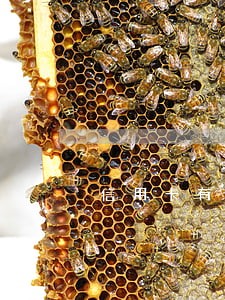 信用卡有逾期不能贷款马 信用卡有逾期不能贷款马