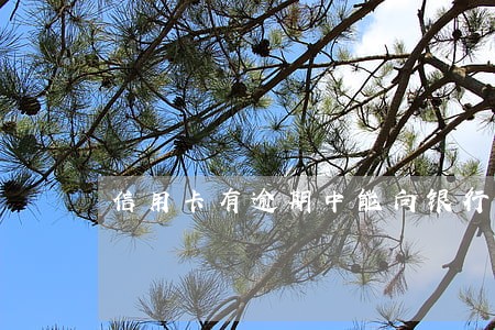 信用卡有逾期中能向银行贷款吗