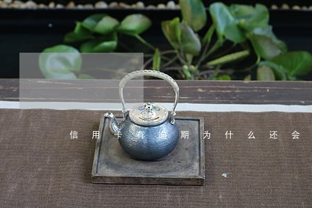 信用卡有逾期为什么还会涨额度