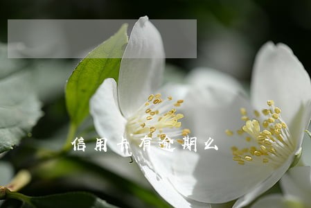 信用卡有逾期么 信用卡有逾期么
