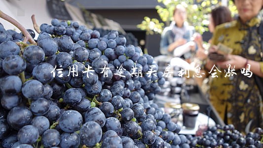 信用卡有逾期买房利息会涨吗 信用卡有逾期买房利息会涨吗