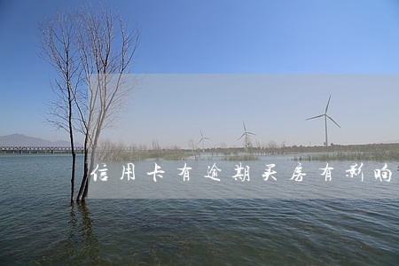 信用卡有逾期买房有影响吗 信用卡有逾期买房有影响吗