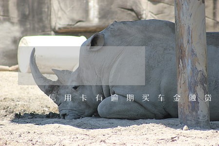 信用卡有逾期买车金融贷 信用卡有逾期买车金融贷