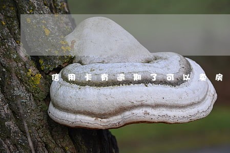 信用卡有逾期了可以卖房吗 信用卡有逾期了可以卖房吗
