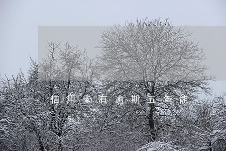 信用卡有逾期五年能 信用卡有逾期五年能