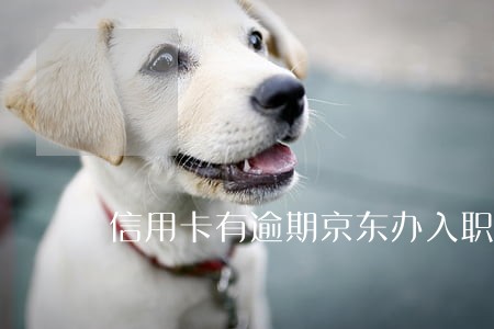 信用卡有逾期京东办入职 信用卡有逾期京东办入职