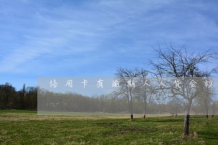 信用卡有逾期人人贷会秒拒吗