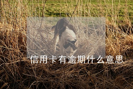 信用卡有逾期什么意思