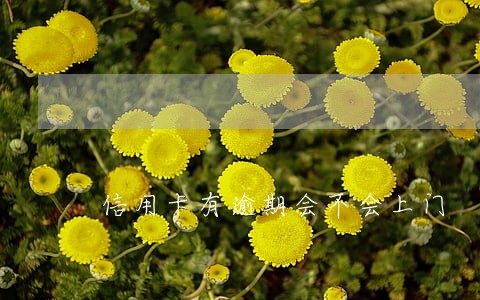 信用卡有逾期会不会上门 信用卡有逾期会不会上门