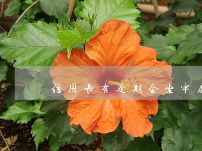 信用卡有逾期会坐牢房 信用卡有逾期会坐牢房