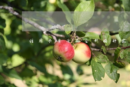 信用卡有逾期会影响什么影响 信用卡有逾期会影响什么影响