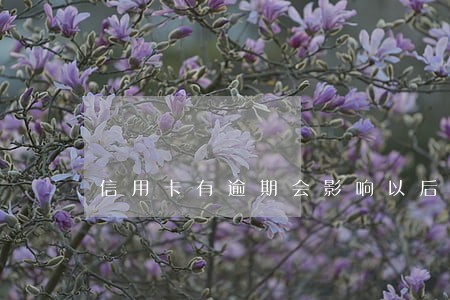 信用卡有逾期会影响以后孩子上学