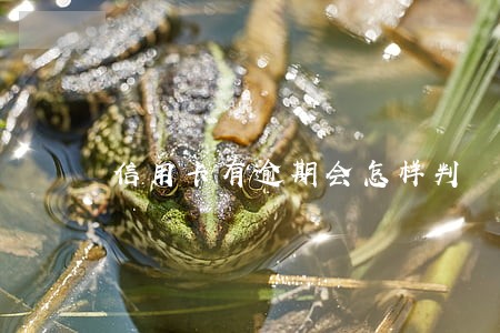信用卡有逾期会怎样判 信用卡有逾期会怎样判