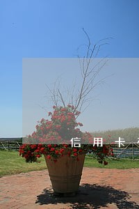 信用卡有逾期会扣名下车么 信用卡有逾期会扣名下车么