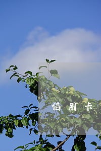 信用卡有逾期会被停卡吗