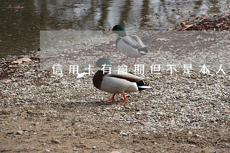 信用卡有逾期但不是本人的 信用卡有逾期但不是本人的