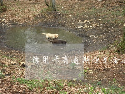 信用卡有逾期但是全还上了