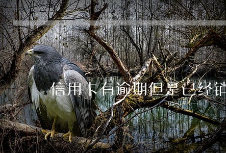 信用卡有逾期但是已经销户了 信用卡有逾期但是已经销户了
