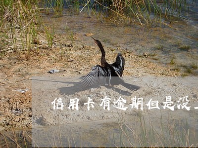 信用卡有逾期但是没上征信 信用卡有逾期但是没上征信