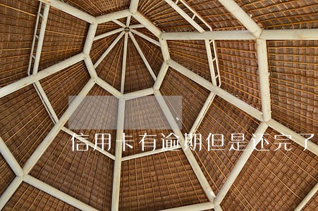 信用卡有逾期但是还完了办贷款 信用卡有逾期但是还完了办贷款