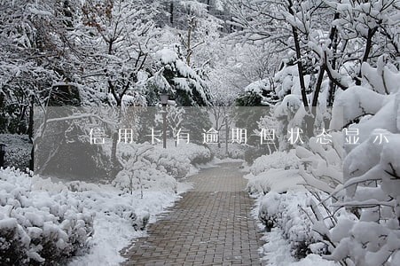 信用卡有逾期但状态显示正常 信用卡有逾期但状态显示正常