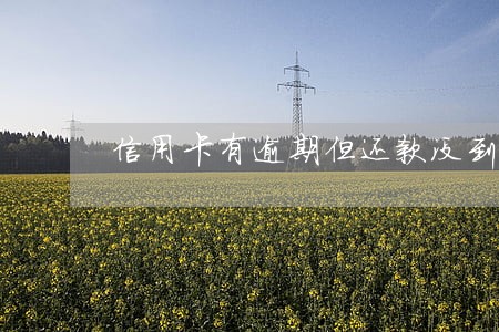 信用卡有逾期但还款没到账 信用卡有逾期但还款没到账