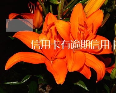 信用卡有逾期信用卡还能开吗