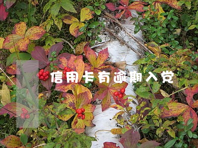 信用卡有逾期入党 信用卡有逾期入党