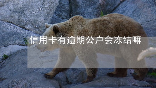 信用卡有逾期公户会冻结嘛 信用卡有逾期公户会冻结嘛