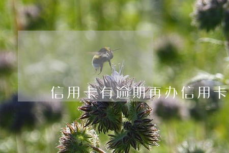 信用卡有逾期再办信用卡 信用卡有逾期再办信用卡